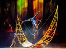 OVO - Cirque du Soleil OVO - Cirque du Soleil