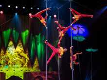 OVO - Cirque du Soleil OVO - Cirque du Soleil