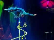 OVO - Cirque du Soleil OVO - Cirque du Soleil