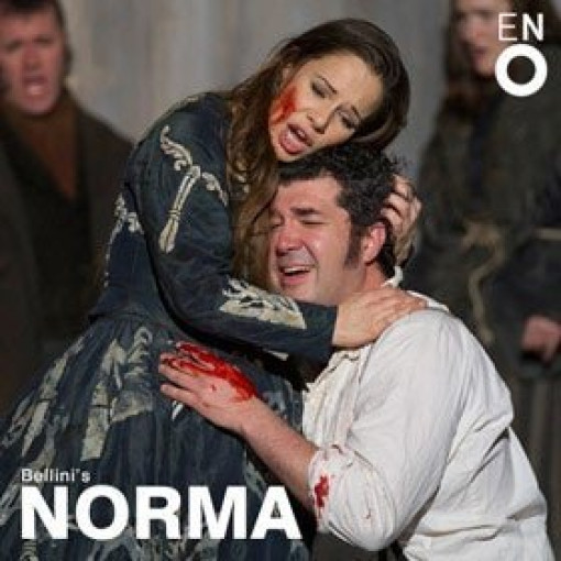 Norma